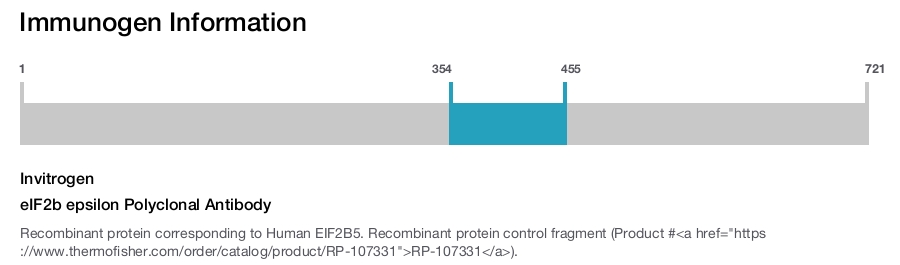 eIF2b epsilon Polyclonal Antibody