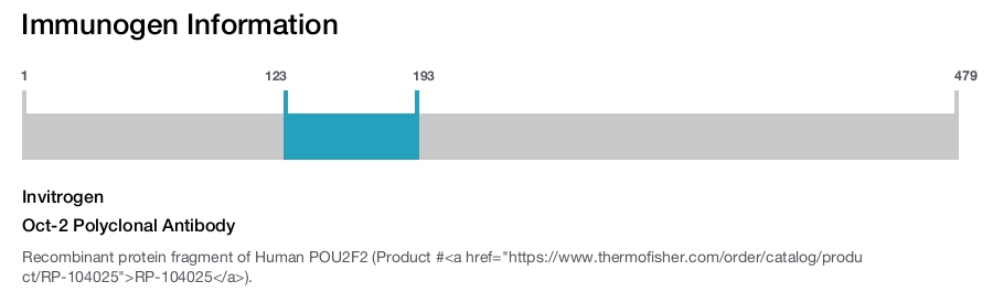 Oct-2 Polyclonal Antibody