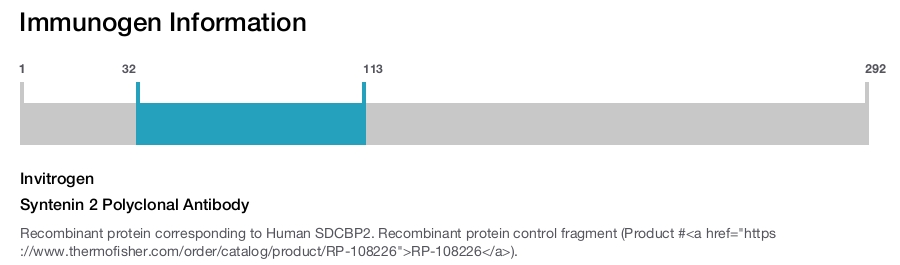 Syntenin 2 Polyclonal Antibody