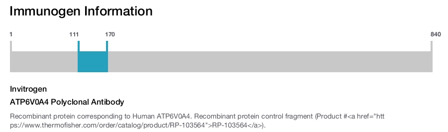ATP6V0A4 Polyclonal Antibody