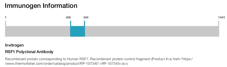 RSF1 Polyclonal Antibody
