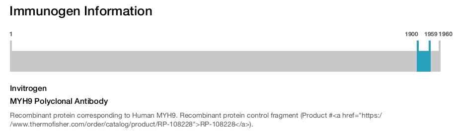 MYH9 Polyclonal Antibody