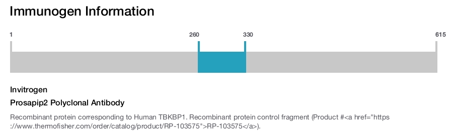 Prosapip2 Polyclonal Antibody