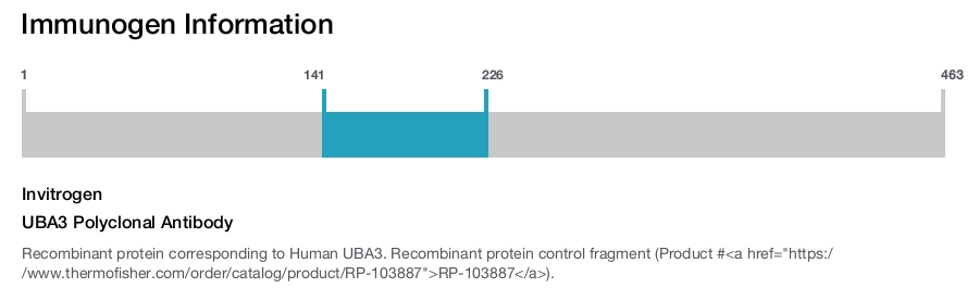 UBA3 Polyclonal Antibody