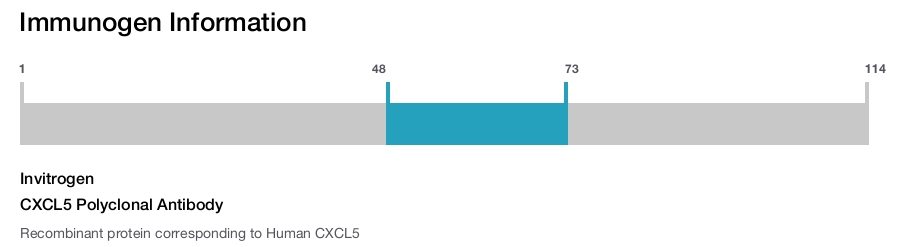 CXCL5 Polyclonal Antibody