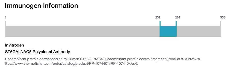ST6GALNAC5 Polyclonal Antibody