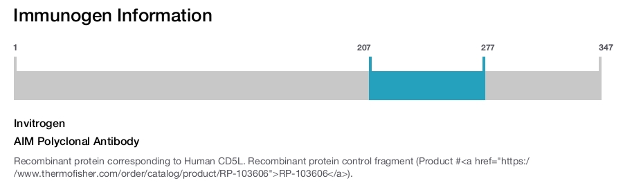 AIM Polyclonal Antibody