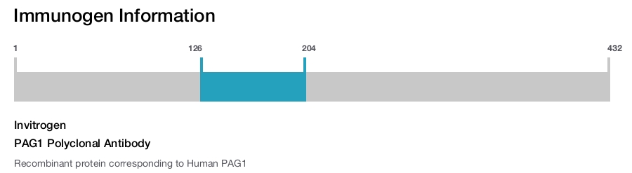 PAG1 Polyclonal Antibody