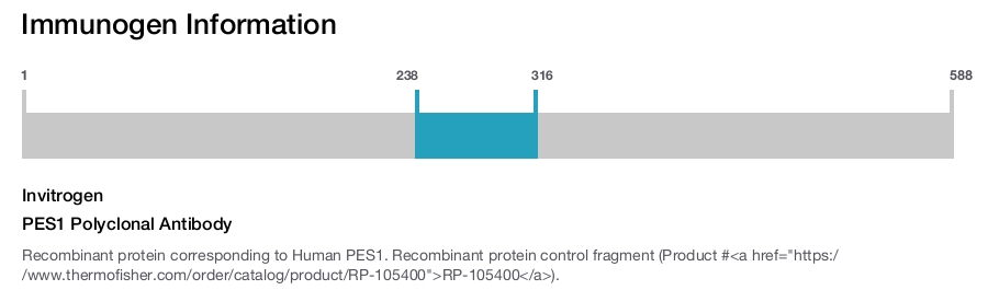 PES1 Polyclonal Antibody