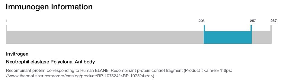 Neutrophil elastase Polyclonal Antibody