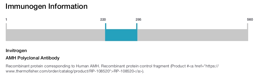 AMH Polyclonal Antibody
