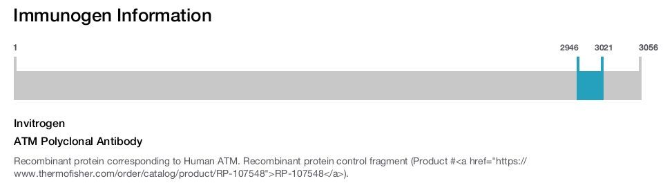 ATM Polyclonal Antibody