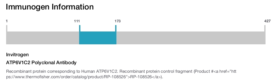 ATP6V1C2 Polyclonal Antibody