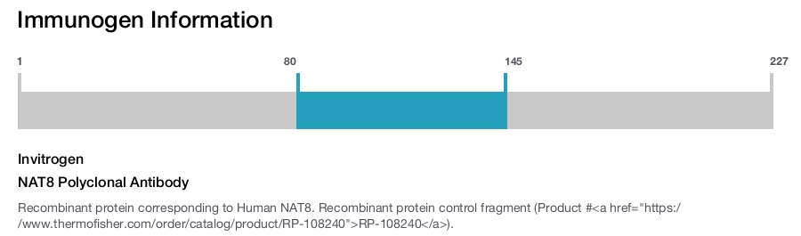 NAT8 Polyclonal Antibody