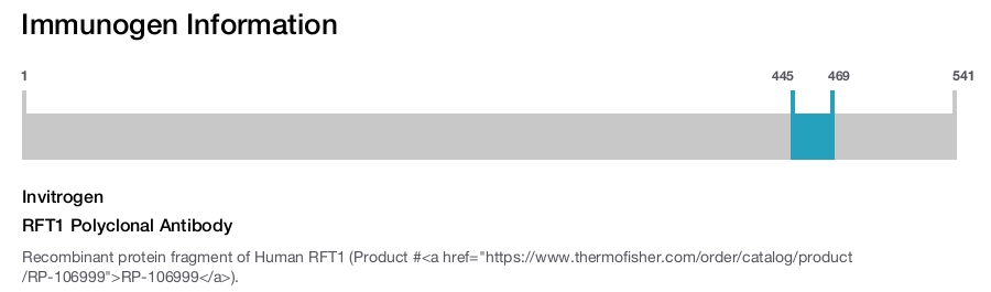 RFT1 Polyclonal Antibody