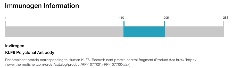 KLF6 Polyclonal Antibody