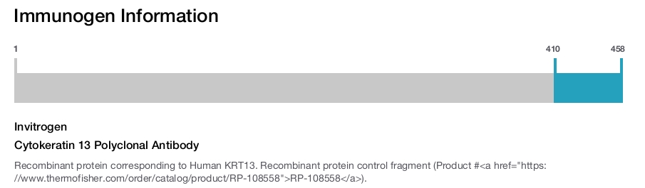 Cytokeratin 13 Polyclonal Antibody