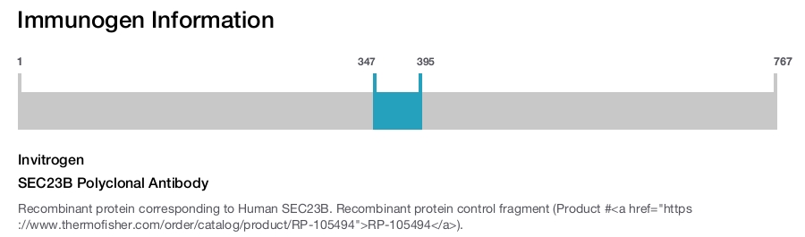SEC23B Polyclonal Antibody
