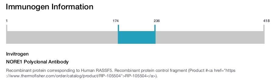 NORE1 Polyclonal Antibody