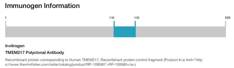 TMEM217 Polyclonal Antibody