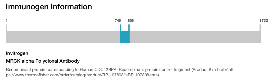 MRCK alpha Polyclonal Antibody