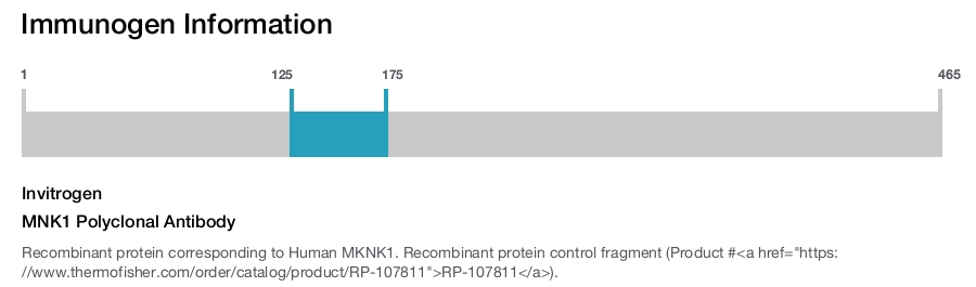 MNK1 Polyclonal Antibody