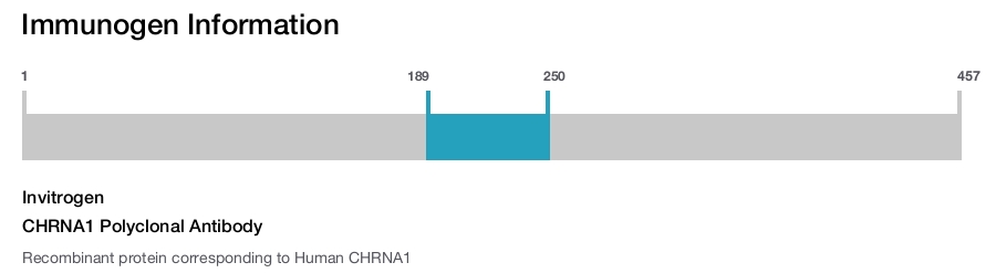 CHRNA1 Polyclonal Antibody
