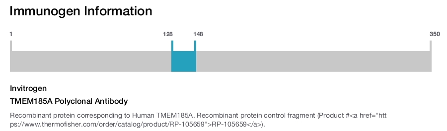 TMEM185A Polyclonal Antibody