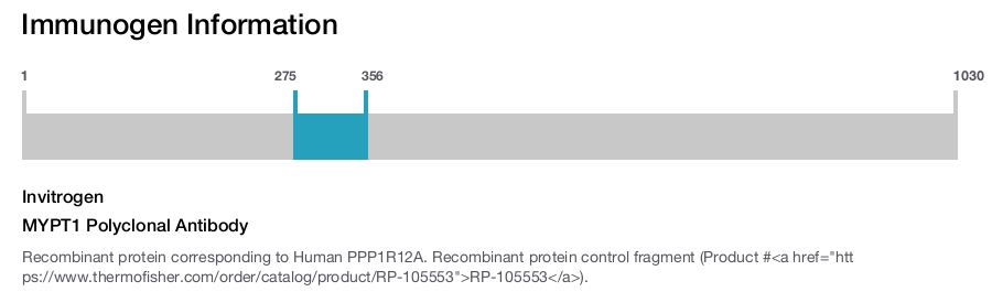 MYPT1 Polyclonal Antibody