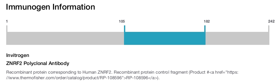 ZNRF2 Polyclonal Antibody