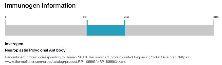 Neuroplastin Polyclonal Antibody