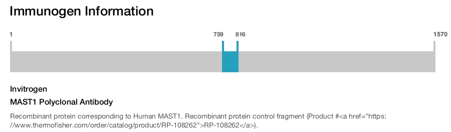 MAST1 Polyclonal Antibody