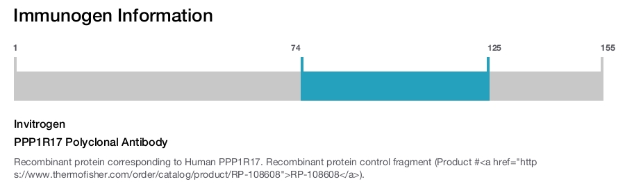 PPP1R17 Polyclonal Antibody