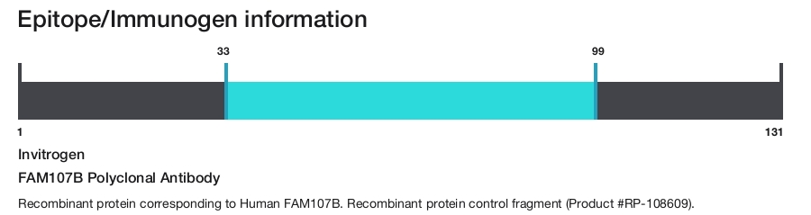 FAM107B Polyclonal Antibody