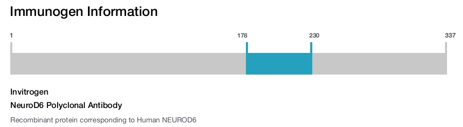 NeuroD6 Polyclonal Antibody
