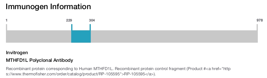 MTHFD1L Polyclonal Antibody