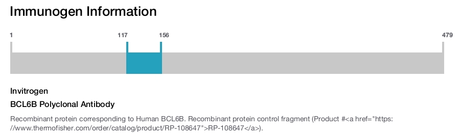 BCL6B Polyclonal Antibody