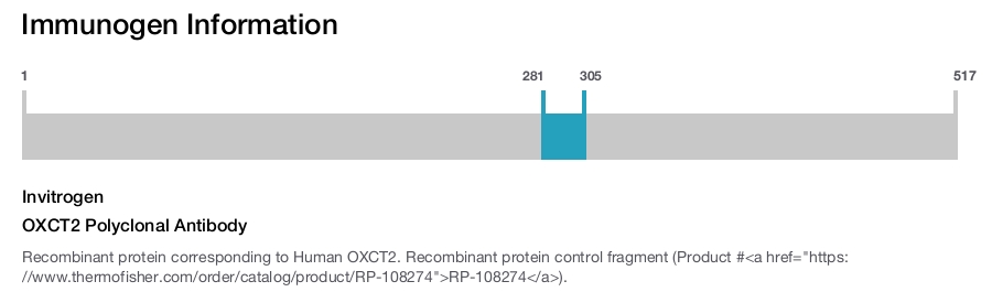 OXCT2 Polyclonal Antibody