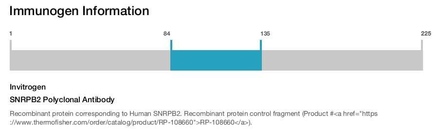 SNRPB2 Polyclonal Antibody