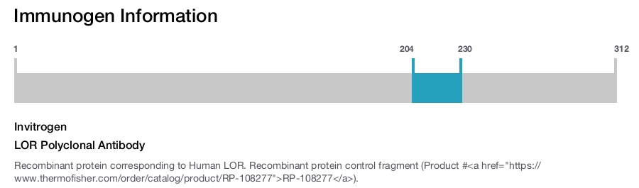 LOR Polyclonal Antibody