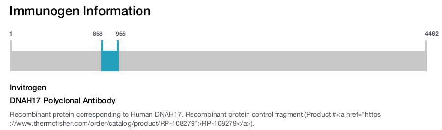 DNAH17 Polyclonal Antibody