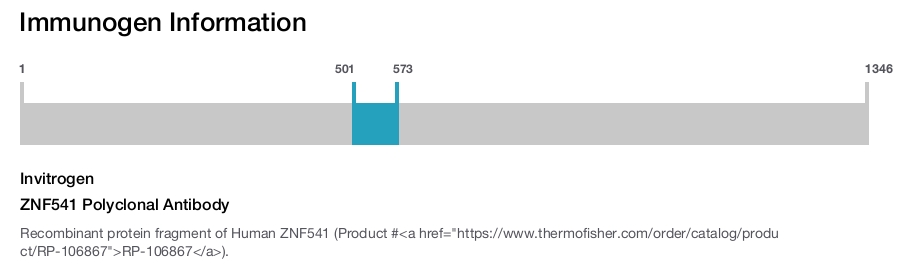 ZNF541 Polyclonal Antibody