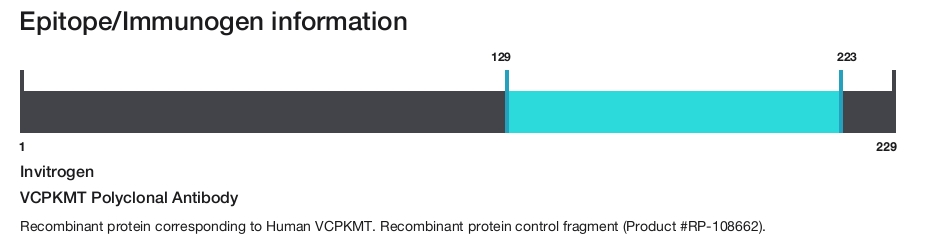 VCPKMT Polyclonal Antibody