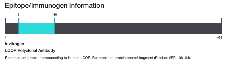 LCOR Polyclonal Antibody