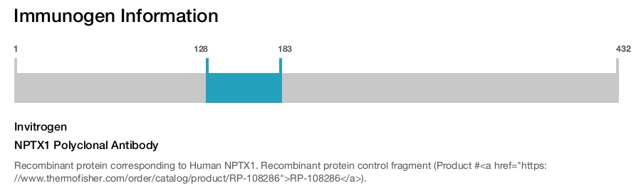 NPTX1 Polyclonal Antibody