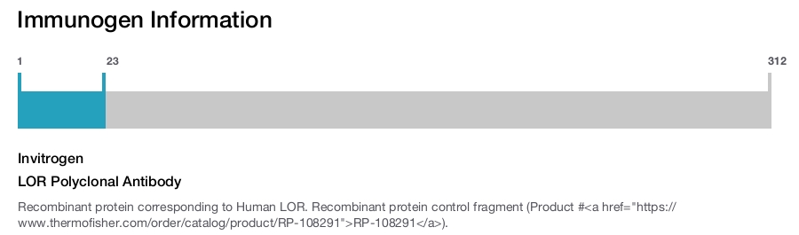 LOR Polyclonal Antibody