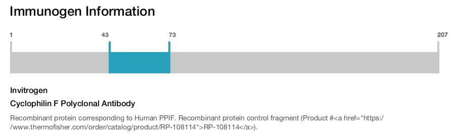 Cyclophilin F Polyclonal Antibody