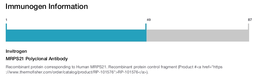 MRPS21 Polyclonal Antibody