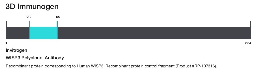 WISP3 Polyclonal Antibody