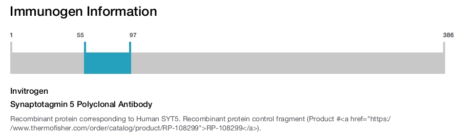 Synaptotagmin 5 Polyclonal Antibody